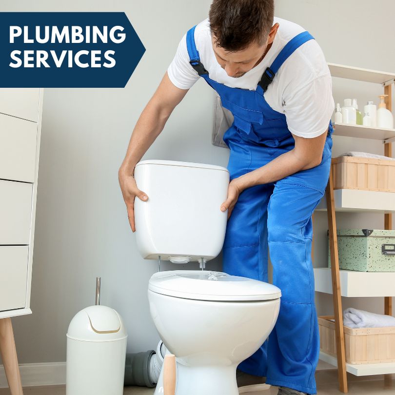 Plumbing Company in Mcneal, AZ